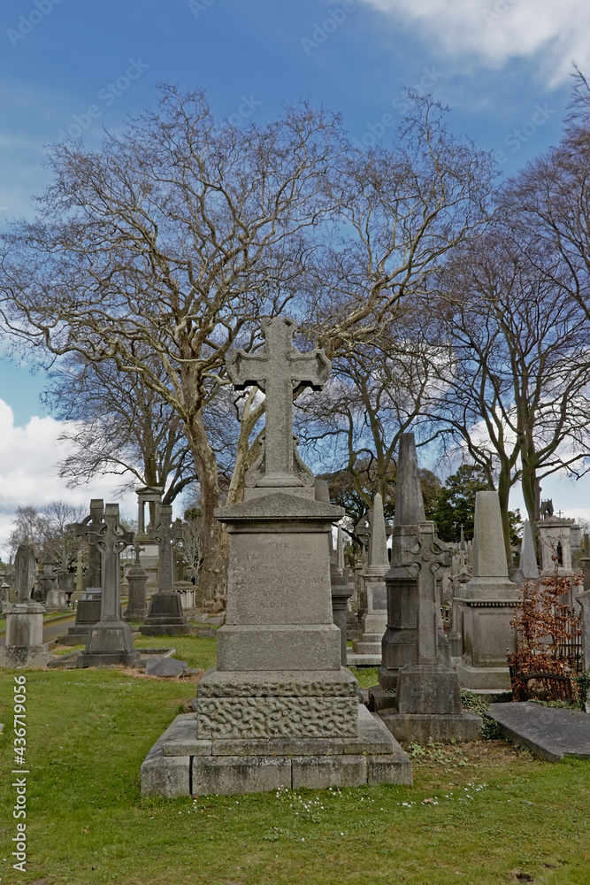 Obraz premium Old historic grave monuments with crosses in Glasnevin, green cemetery with bare trees in , Dublin, Ireland.