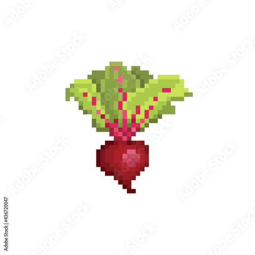 Pixel beetroot vector illustration. Pixel art vegetable beetroot icon.