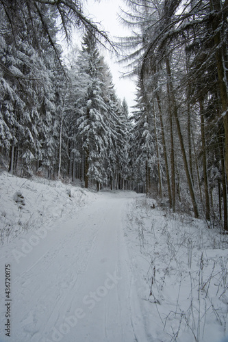 Thüringer Wald © toeppefotografie