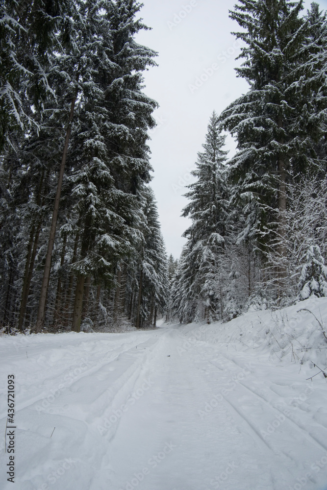 Obraz premium Thüringer Wald