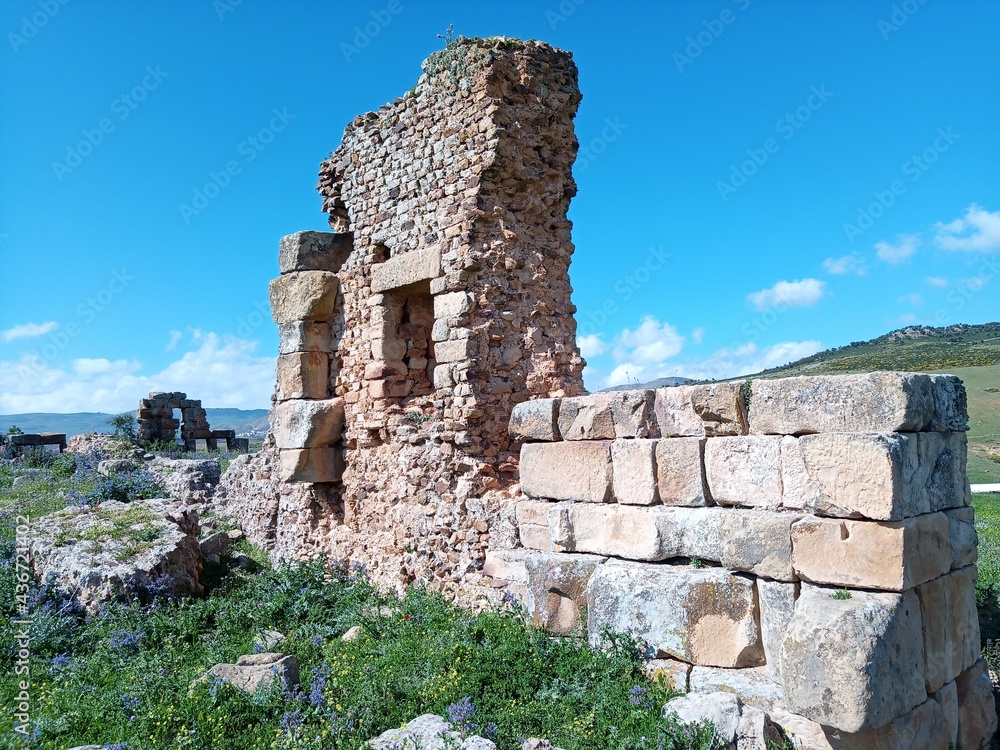 Roman ruins, Awlad Idris (alqasri)suq ahras, Algeria