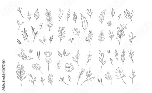 Floral and herbal ornament hand drawn designs. Leaves and branches nature doodles. © Matias