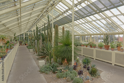 Cactus plants in a greenhouse in dublin botanic garden © Kristof Lauwers