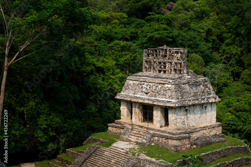 Scenic view of a pyramid at the Mayan ancient city of Palenque, Chiapas, Mexico.