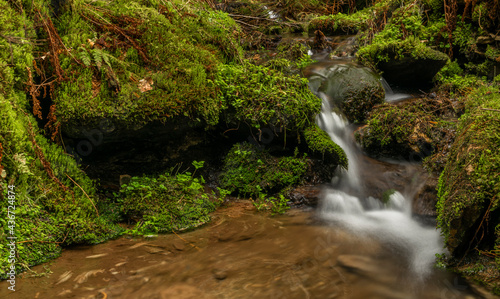 Farsky creek in spring color morning near Roprachtice village photo