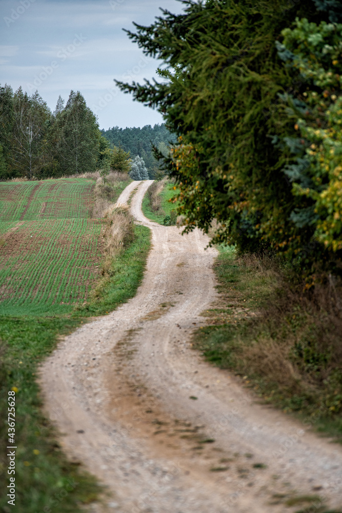 Polskie drogi