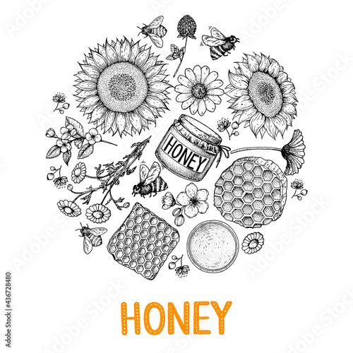 Honey hand drawn vector illustration. Healthy food illustration. Lettering Organic Honey 100% natural. Honeycomb, flowers, jar of honey sketch.