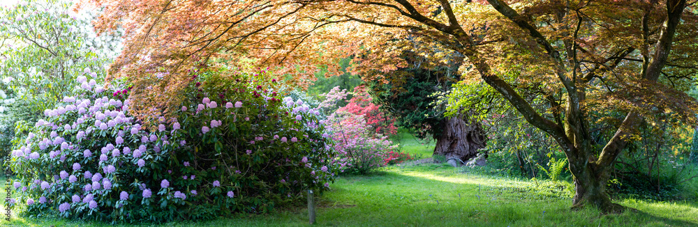 Naklejka premium grass and flowers in the forest panorama