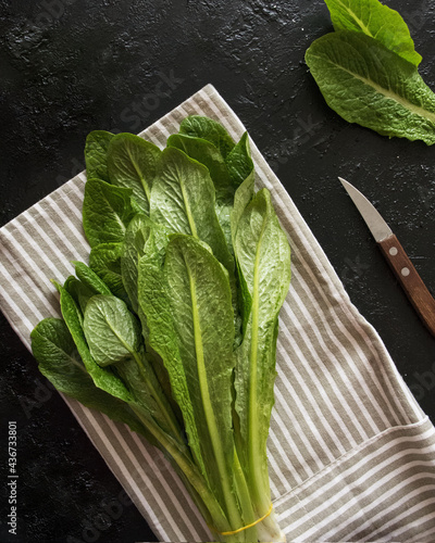 Fresh lettuce in the kitchen photo