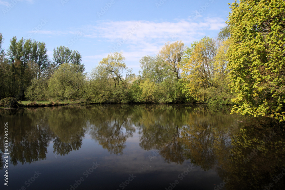 A view of Martin Mere Nature Reserve in the spring A view of Martin Mere Nature Reserve in the spring