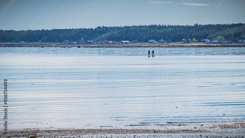 Two people paddle boarding on the St Lawrence river at low tide on a beautiful morning (in Ste Luce, Quebec, Canada)