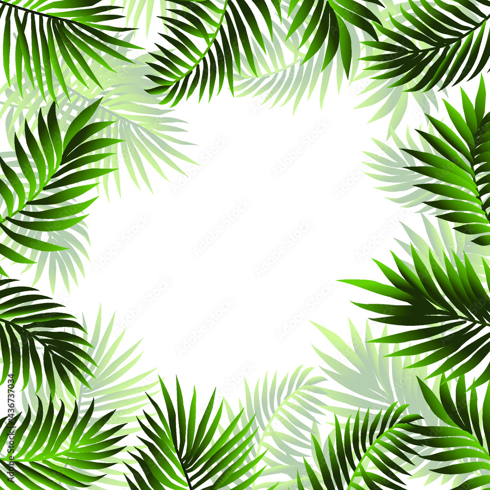 Tropical frame of palm leaves Tropical frame of palm leaves
