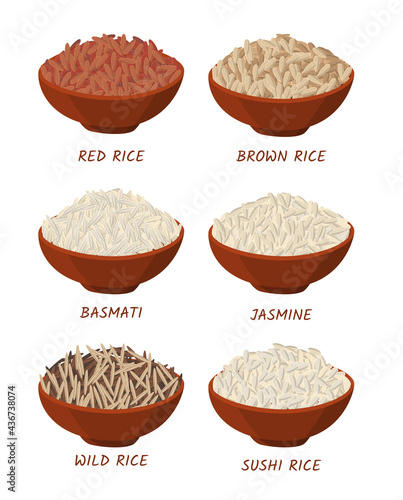 Cartoon Color Different Types Rice in Bowls Set. Vector