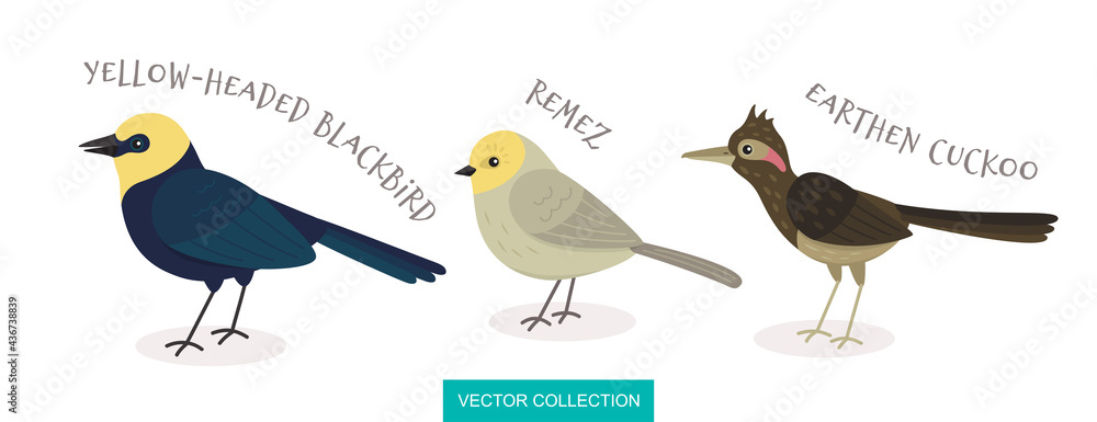 Fototapeta premium Print