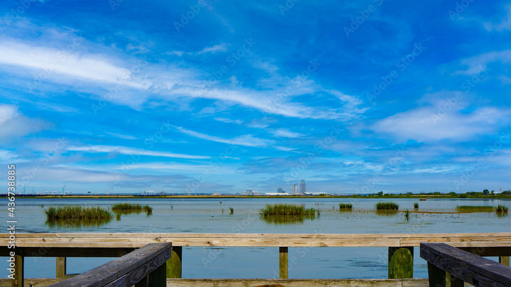 Interstate in Mobile and Alabama swamp landscape in summer Interstate in Mobile and Alabama swamp landscape in summer