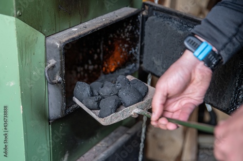 Obraz na płótnie The hands of the man puts the coal into the furnace. w salonie