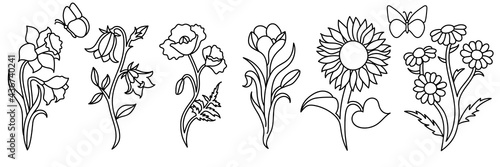 Wildflowers in a hand drawn line art style.