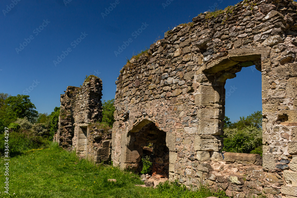 The ruins of Grace Dieu Priory