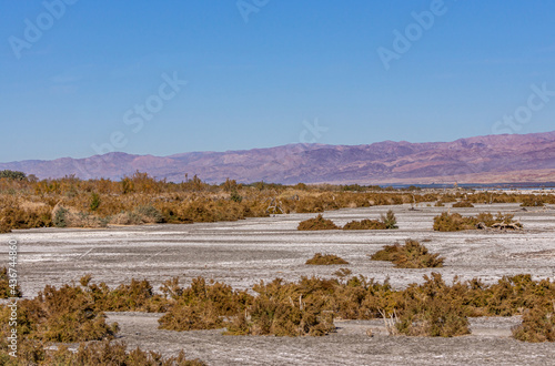 USA, CA, Salton Sea - December 28, 2012: Wide landscape, Gray-white dry salty marsh land with brown shrub under light blue sky. Narrow strip of dark blue water and mountains on horizon. © Klodien