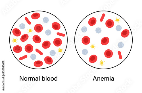 Blood structure concept