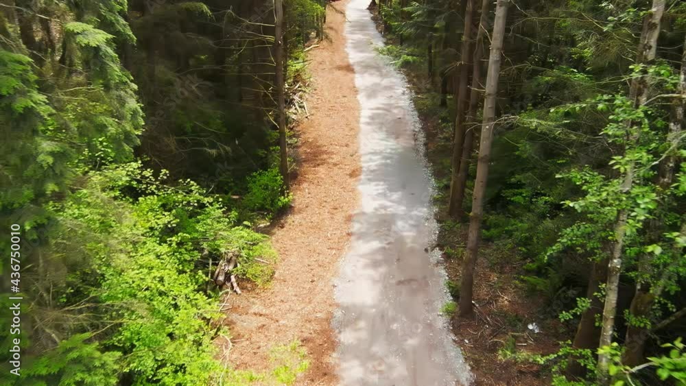 Aerial view of an unpaved forest road, dropping down to ground level to fly along the tree-lined path Aerial view of an unpaved forest road, dropping down to ground level to fly along the tree-lined path