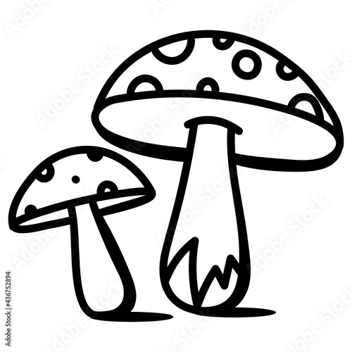 Weed Mushrooms

