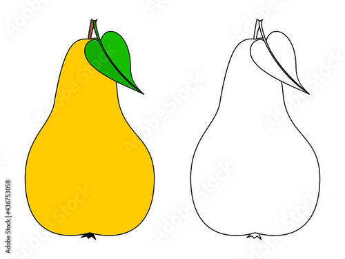 Pear with leaf outline. Coloring book page for children. Pear colored and outline vector illustration isolated on white background.