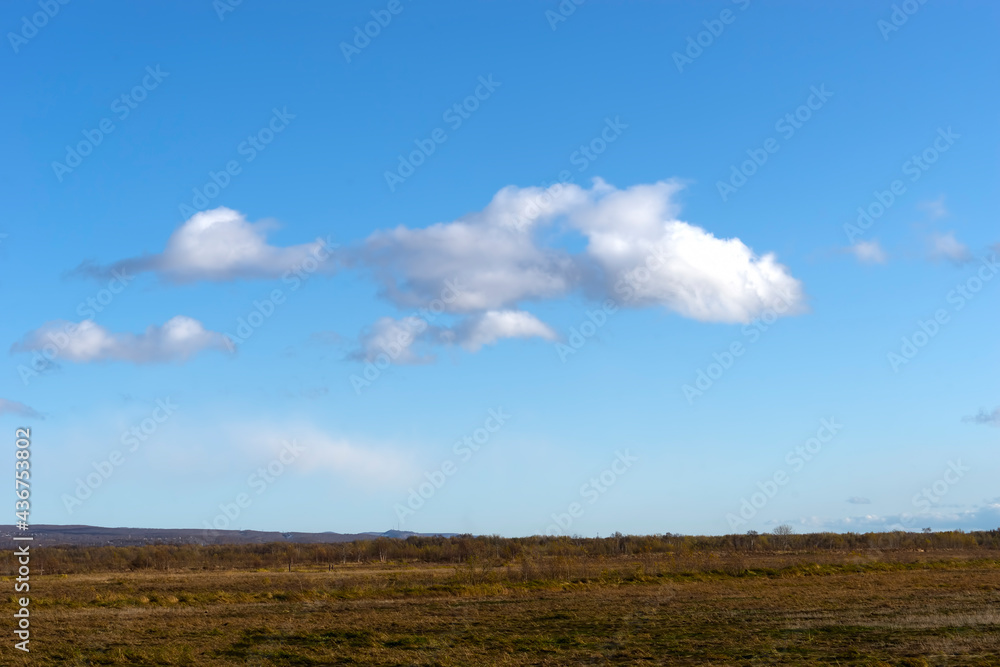 landscape with blue sky and white cloud over the field