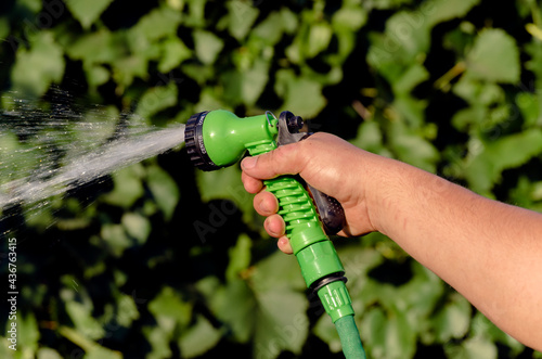 Watering with a hose through a nozzle for spraying water