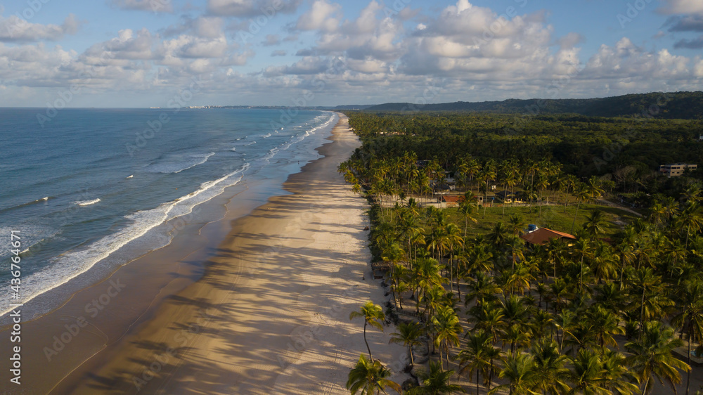 Aerial drone view of beach with coconut trees on the coast of Ilheus Bahia Brazil