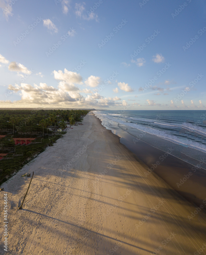 Aerial drone view of beach with coconut trees on the coast of Ilheus Bahia Brazil