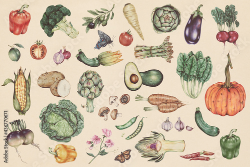 Hand drawn vegetable pattern illustration photo