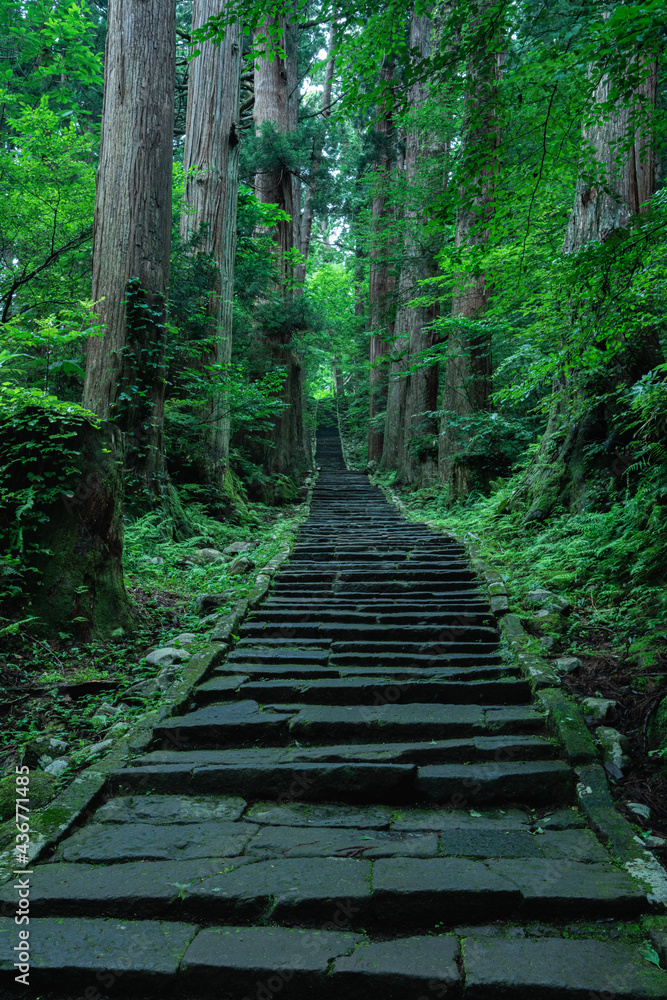 山の頂上へと続く石畳の階段 山の頂上へと続く石畳の階段