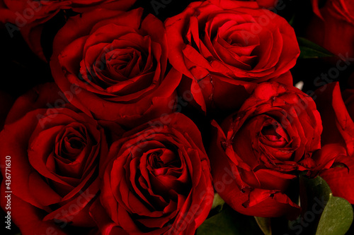 Bouquet of slightly wilted red roses 