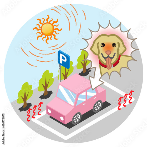 真夏の車内に放置されたラブラドールレトリバー