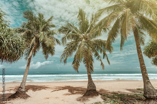 Fototapeta Naklejka Na Ścianę i Meble -  Beautiful sea on a sunny day, there is an arch of a coconut tree, frame covered and shaded on the sandy beach, Travel vacation background concept, Summer beach with sunny sky Phuket, Thailand.