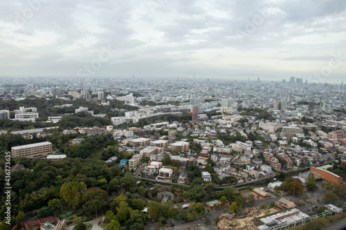東山動物園から見る名古屋市風景 © pepmint