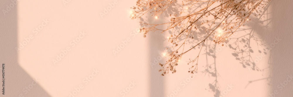 Sparkle dried flower background image