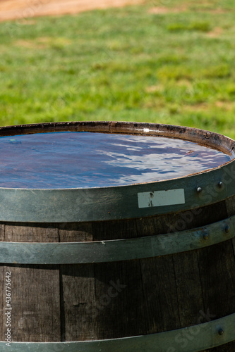 Water Pooled in the Top of A Wine Barrel 