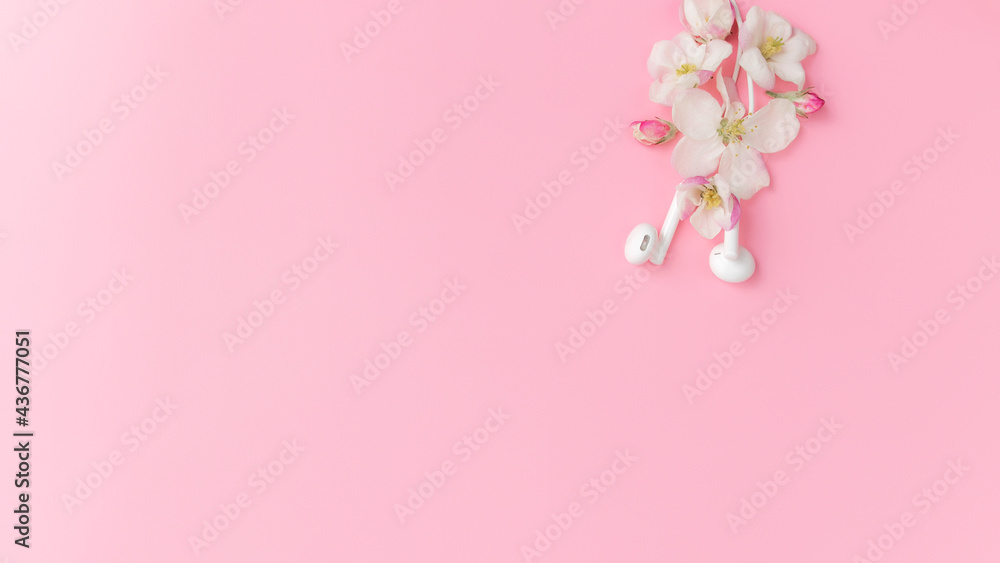 Music lover or fresh music concept on pink background with blossom and earphones