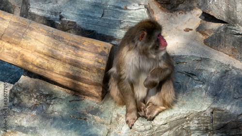 飯田市立動物園 長野県