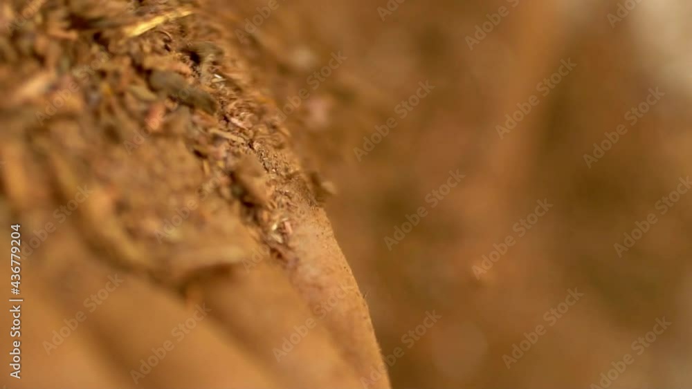 Macro Shot Of Madder Powder, Colouring Dye For Organic Textiles In Pakistan And India Macro Shot Of Madder Powder, Colouring Dye For Organic Textiles In Pakistan And India
