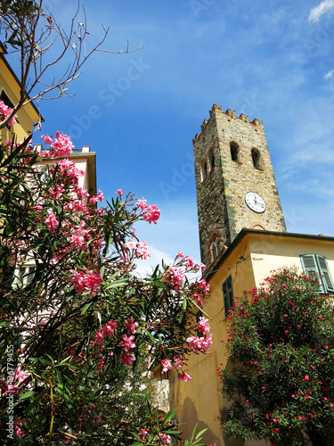 The cityscape of Monterosso al Mare in Cinque Terre, ITALY