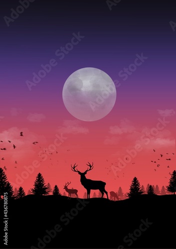 LonelyMoon