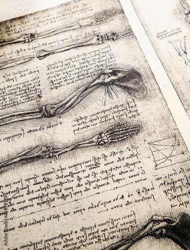 Anatomy art by Leonardo Da Vinci in Kandy medical exhibition