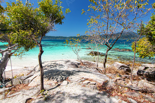 Thailand travel island "Koh Lipe" turquoise sea color with white rock beach tree viewpoint coast and sunny clear blue sky background landscape