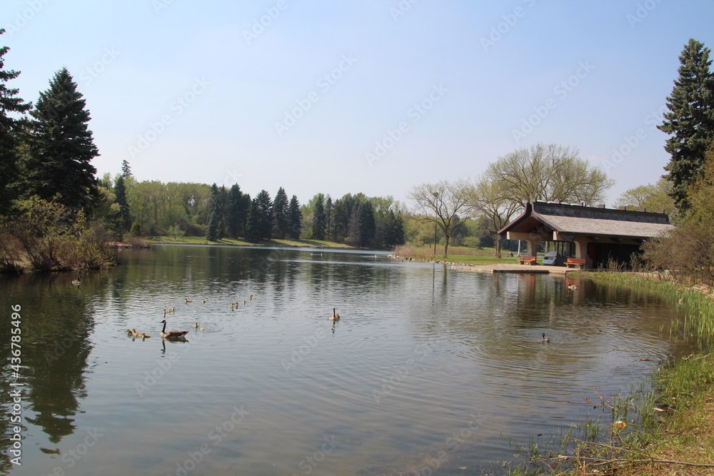 Fototapeta premium Spring Haze On The Lake, William Hawrelak Park, Edmonton, Alberta