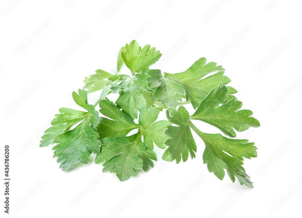 Fresh parsley on white background Fresh parsley on white background