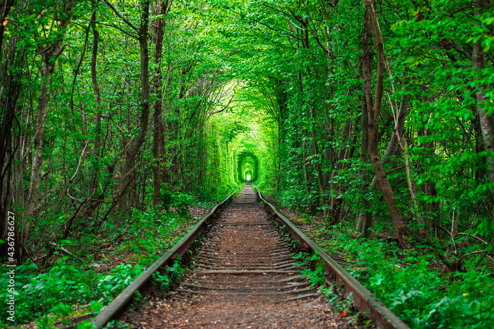 Obraz premium a railway in the spring forest tunnel of love