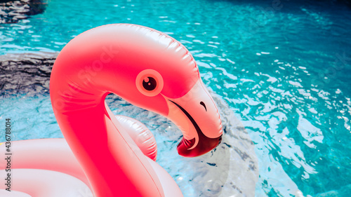 Summer vacation fun funny Pink Flamingo float in a swimming pool trendy summer concept